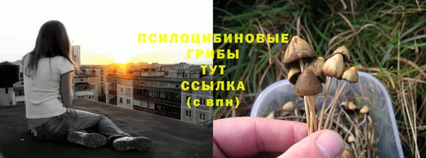 прущие крисы Лабытнанги