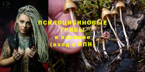 круглые Ладушкин