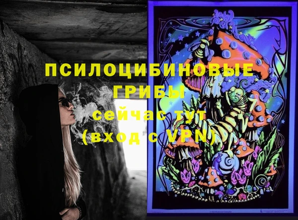прущие крисы Лабытнанги