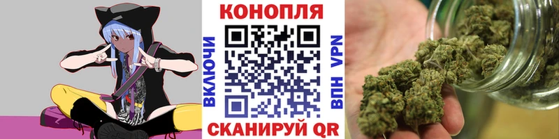 как найти закладки  Нолинск  Каннабис планчик 